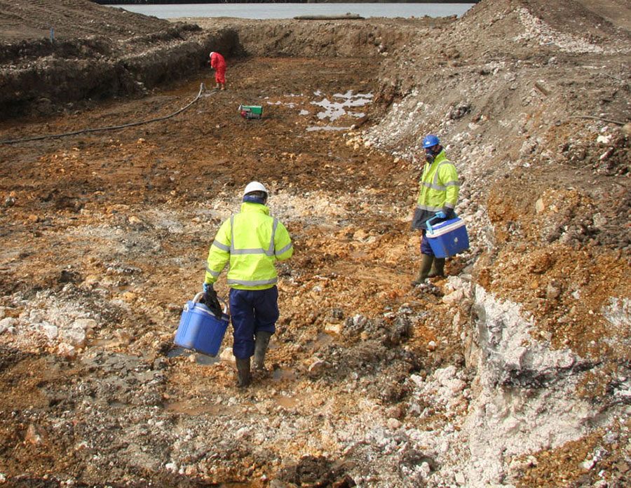 In-situ Remediation In-situ Remediation